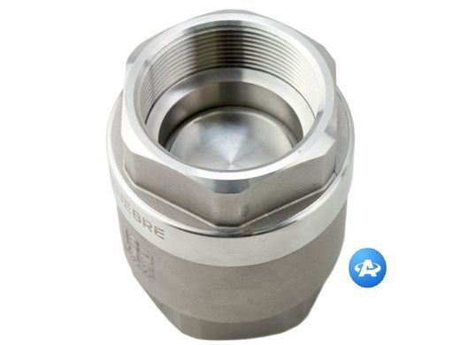3" Клапан звортоній муфтовий нержавіючий пружинний Genebre 2416 11, Ду80, Ру63